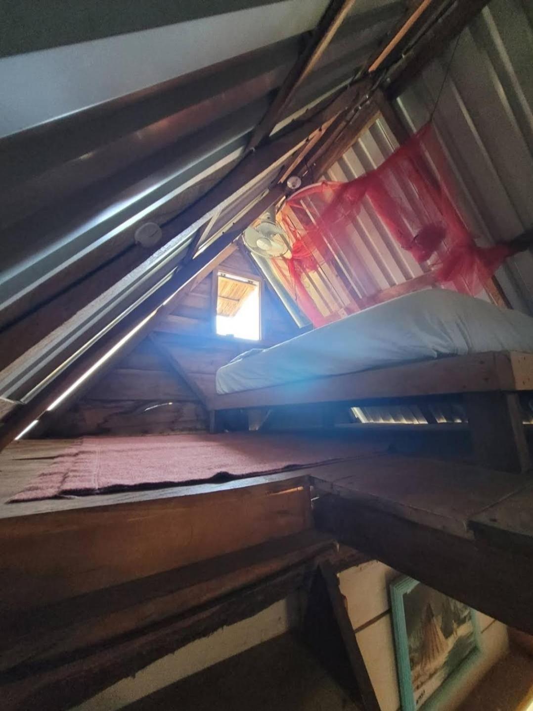 Coconut House Apartment El Gigante Ngoại thất bức ảnh